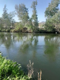 Köyün Dibinde 10 Numara Bahçe