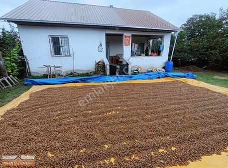 Delikkaya Mahallesinde Satılık 8 Dönüm Bahçe Ve Ev