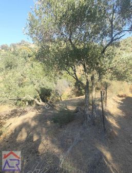 Ada Royal'den Cincin De 270m2 İmarlı Köy İçi Arsa