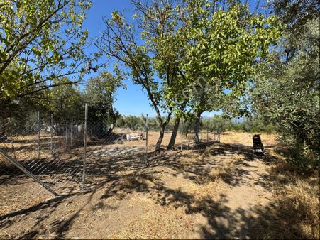 Beka Gayrimenkul'den Dutluca Altında 202 M² Hobi Bahçesi