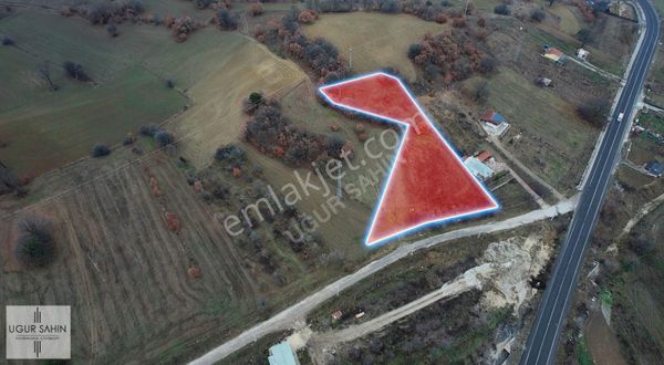 Bilecik Pazaryeri Yola 80m Cepheli Fırsat 2543m² Arazi