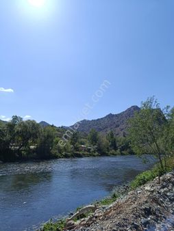 Sakarya Nehrine Sıfır Bahçe