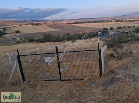 Çınar Emlak'tan Satılık Bağ