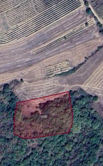 Edirne Uzunköprü Yeniköy Mahallesi Kelepir Parael