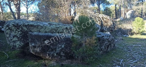 Kozak Çelebi Emlak’tan 1700 M2 Müstakil Tapulu Köye Yakın Uygun Fiyat!!