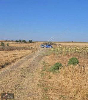 Lüleburgaz Sakızköy'de 3.167 M2 Satılık