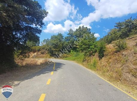 Remax Mavi Den Panaromik Manzaralı Verimli Asfalt Yola Cepheli