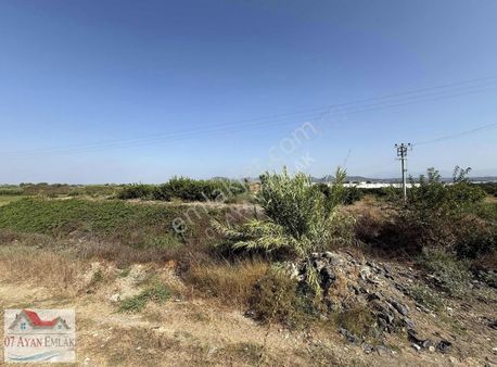 Manavgat Antalya Asvaltına Cepheli Taşağılda İmarlı 2500m2 Arsa