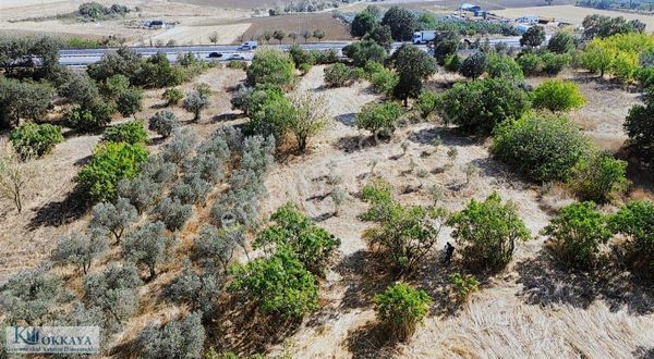 Kökkaya'dan İzmir Yoluna İki Parsel İçerde Satılık Fırsat Tarla