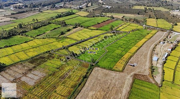 Öz-ak Tan İmara 1 Km Mesafede Verimli 3320 M2 Arazi Hissesi