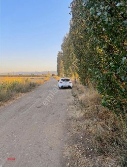 Geleceğe Ciddi Bir Yatırım ! Erenler' De Satılık 28.420 M2 Tarla