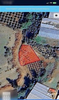 Telmessos Gayrimenkul Den Eldirekde 950 M2 Tarla