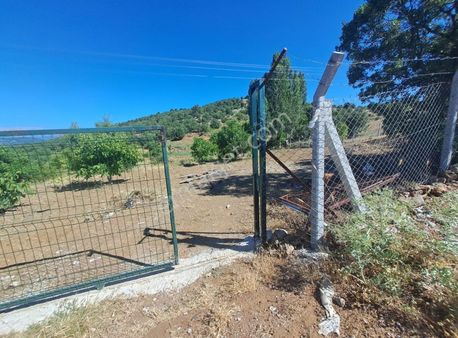 Konya Beyşehir Üzümlü De Usanmaz Emlaktan Satılık Bağ Yeri