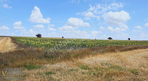 Ergene Ulaş'ta Satılık 10 Dönüm Tek Tapu Harika Konumlu Tarla