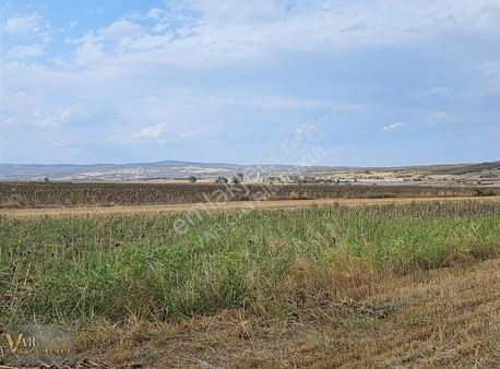 Vıze Evrenlıde 20 Adet 350 M2 Emsallerınden Dusuk Fıyatlı Parsel