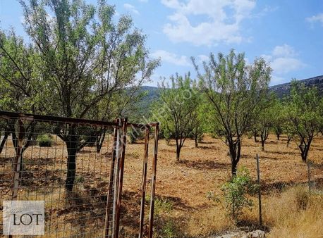 Tavas Horasanlı'da 2264 M2 Tarla