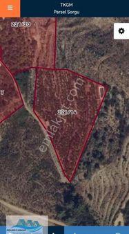 Deniz Manzaralı Avokado Bahçesi