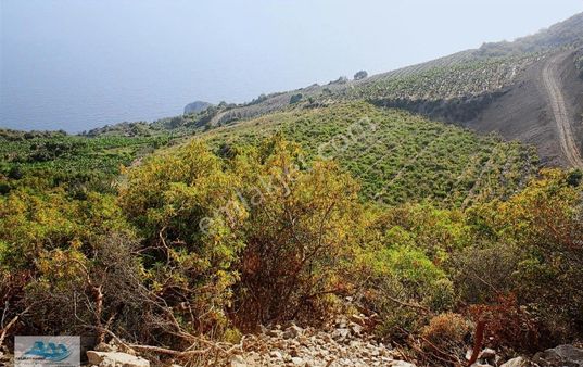 Antalya, Gazipaşa Da Satılık Deniz Manzaralı Muzkent 900 M2