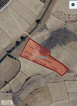 Serkan Metin'den Eğriöz Mahallesinde Satılık Tarla