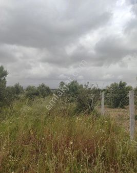 Menderes Tekeli'de 240 M2 Yatırımlık Müfrez Tarla