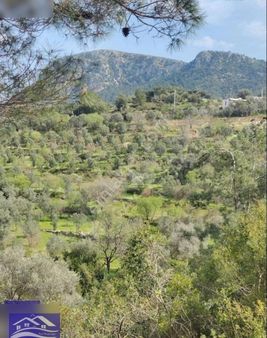 Bodrum Gündoğan Satılık Yatırımlık 17 Dönüm Tarla