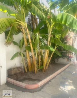 Bodrum Eskiçeşmede Satılık Sıfır 1+1 Daire