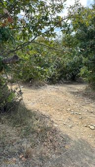 Yuvam Arsa Ofisin'den Kaynarca'da 3060 Mt Tek Tapu Fırsatı!!!