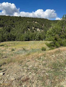 Yuvam Arsa Ofisinden Geyve'de Tek Tapu 2500mt Fırsat Arsa!!!