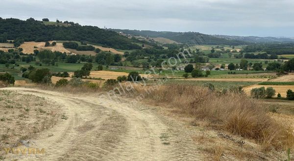 Yuvam Arsa Ofisi Sakarya Kaynarca Kaçırılmayacak 2.040 M2 Arsa