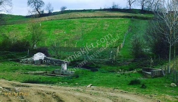 Yuvam Arsa Ofisi Sakarya Kaynarca 6.108 M² Satılık Tek Tapu Arsa