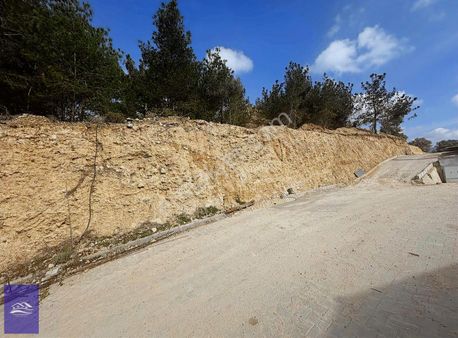 Bodrum Yalıçiftlik Satılık Tarla