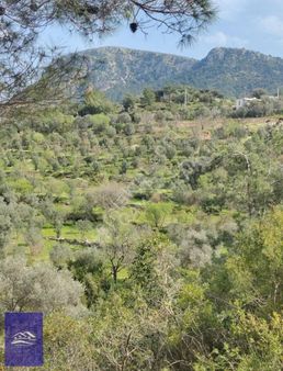 Bodrum Gündoğan Satılık Yatırımlık 17 Dönüm Tarla