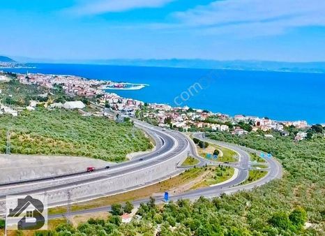 ⫸sadece Best Emlak'tan⫷ Yeşilyurt 'da Deniz Manzaralı Zeytinlik