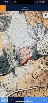 Faruk Emlaktan Satılık Yatırıma Uygun 2000 M2 Tek Tapu Zeytinlik