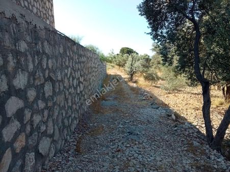 Falcon Dan Cavdir Da Fırsat 603m² Arsa