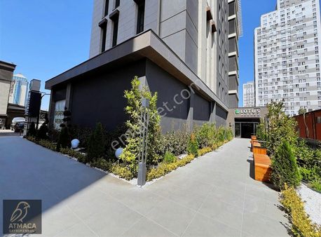 Lotus Merkez. Beylikdüzü,de Kiralık Ofis Katları