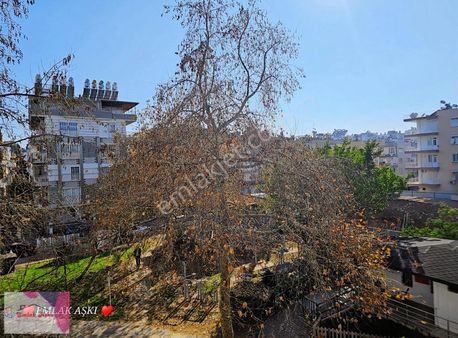 Sedirde Tabela Değeri Yüksek Cadde Üzerinde Arakat Acil Satılık