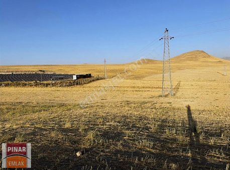 Pınar Emlak'tan Alaköyde Satılık Tarla