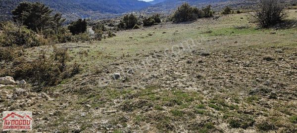 Aydoğdu Gayrimenkulden Mut'da Satılık Yatırımlık Tarla