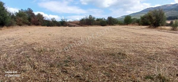 Bilecik Bozüyük Bursa Ankara Yolu Üzerinde Satılık Tarla