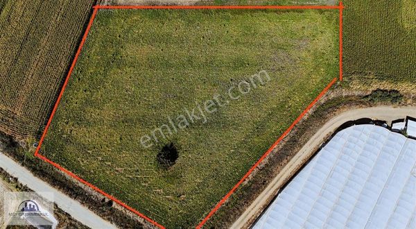 Burdur Tefenni Esentepede 7536m2 Satılık Tarla