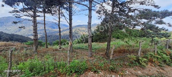 Satılık Atakum Kayagüney'de 750m2 Bulunmaz Fırsat Tarla