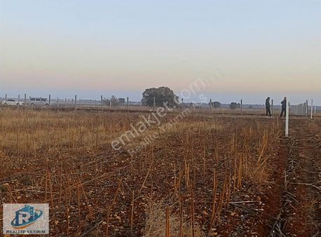 Kaynarcada Satılık Parseller