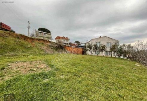 Çanakkale Bayramiç Kazdağları Merkezde!!!!