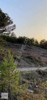 Mudurnu Yazılar Köyünde 3.125 M2 Resmi Yola Cephe Arazi.