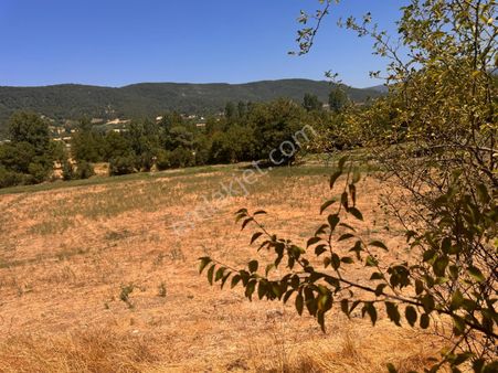 Bursa Kestel Gölcük Köyünde 3.920 M2 Yatırımlık Tarla