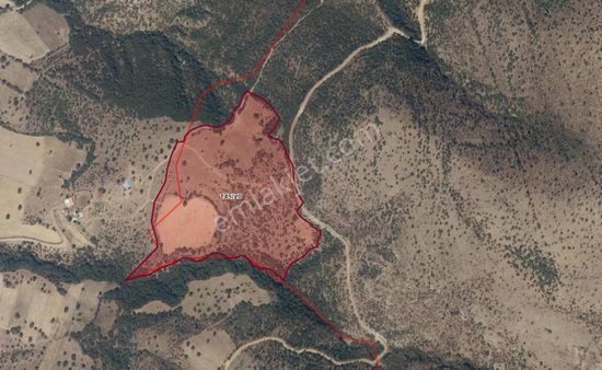 Manisa, Demirci, Kazancı Mahallesinde Yatırıma Uygun Fırsat Tarla