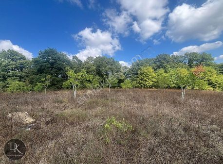 İzmit Şahinler Mahallesi 3.303 M² Satılık Tarla