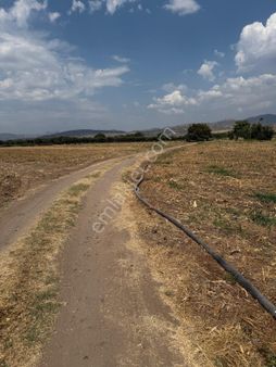 Saadet Korkmaz Emlak'tan Cumhuriyet'de İmara Komşu Satılık