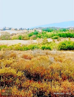 Çanakkale Lapseki Beypınar Köyünde Satılık Fırsat Arsa